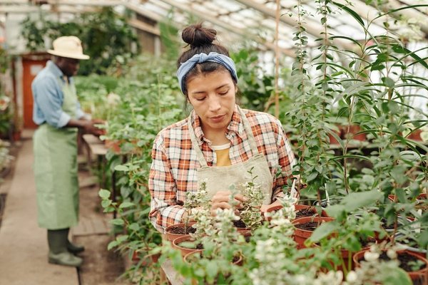 Quelles sont les raisons des bugs occasionnels de Chat GPT ?